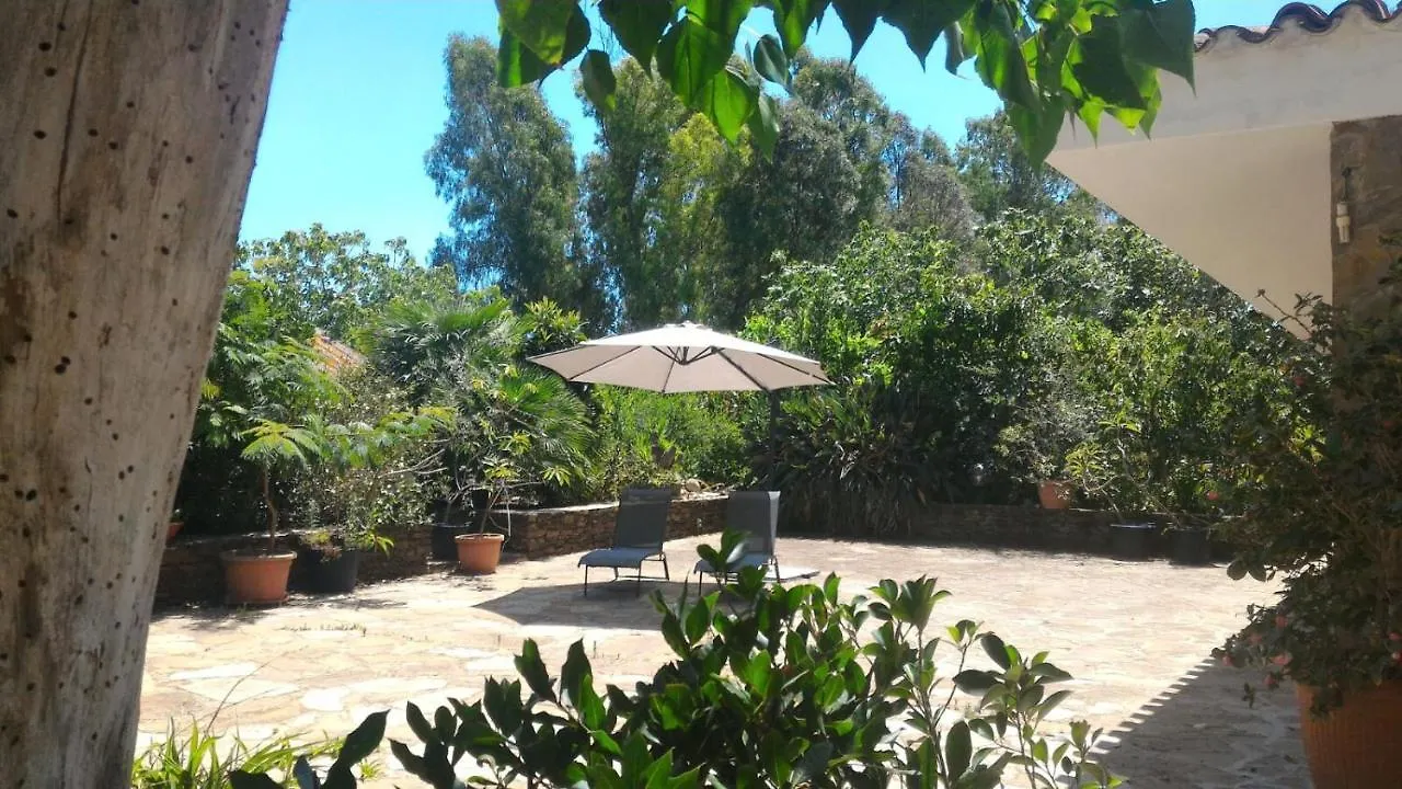 Villa Canu 알게로 B&B